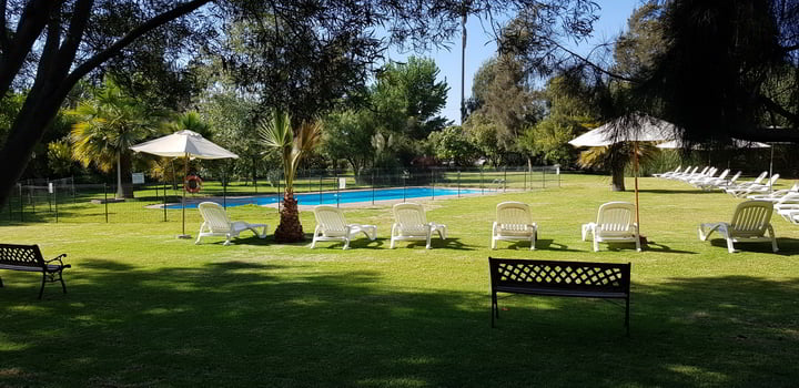 Jardín con reposeras junto a la piscina